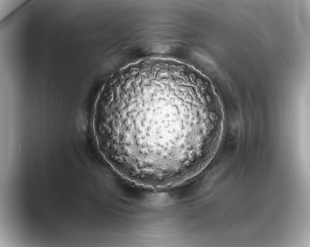 X0000089760374200706211548