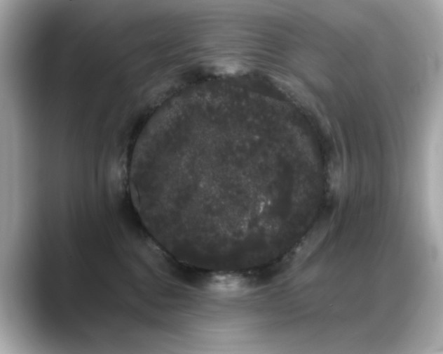 X0000089760376200706211548