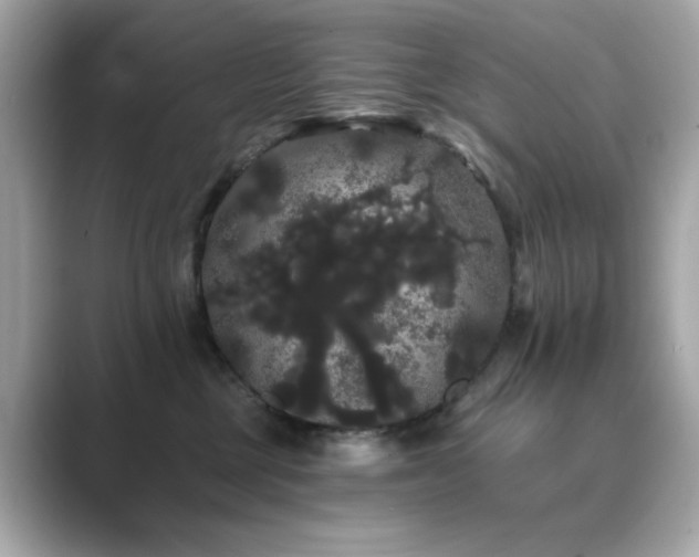 X0000089760377200706211548