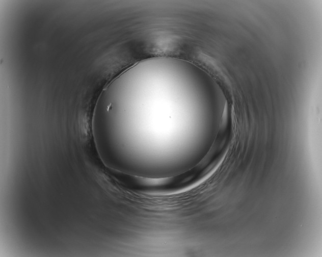 X0000089760380200706211548