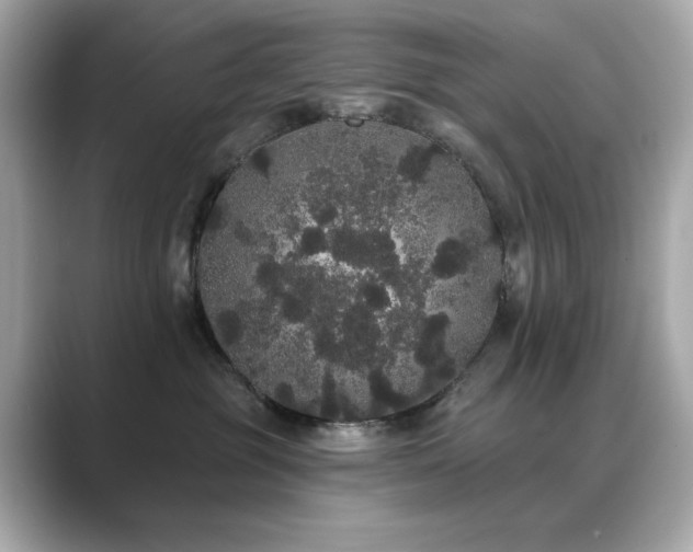 X0000089760381200706211548