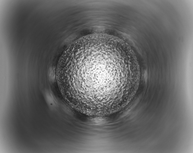 X0000089760383200706211548