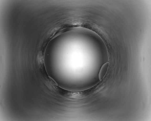 X0000089760384200706211548
