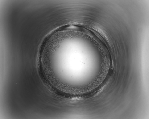 X0000089760388200706211547