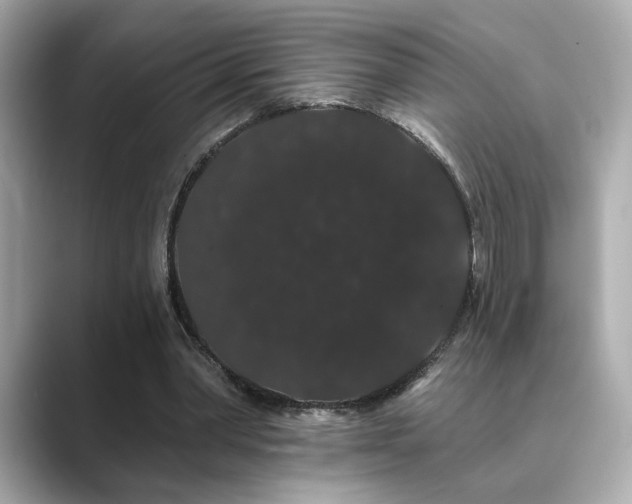 X0000089760390200706211547
