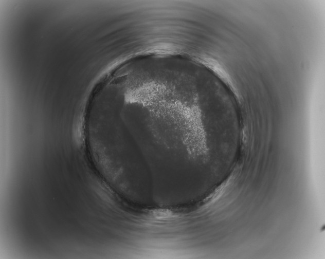 X0000089760392200706211547