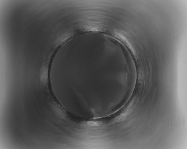 X0000089760394200706211547