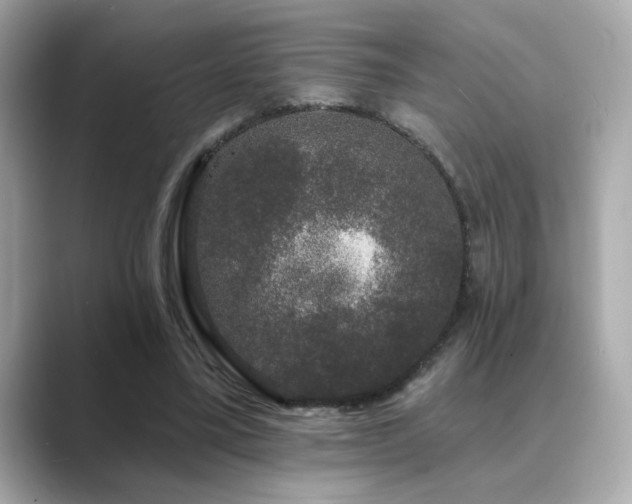 X0000089760395200706211547