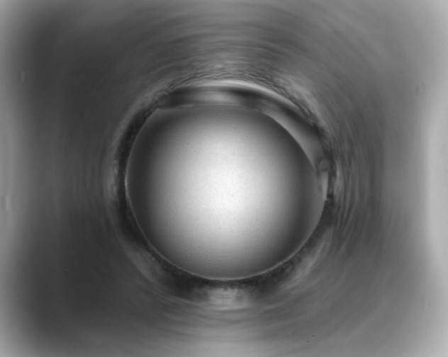 X0000089760400200706211547