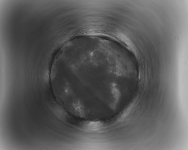X0000089760401200706211547
