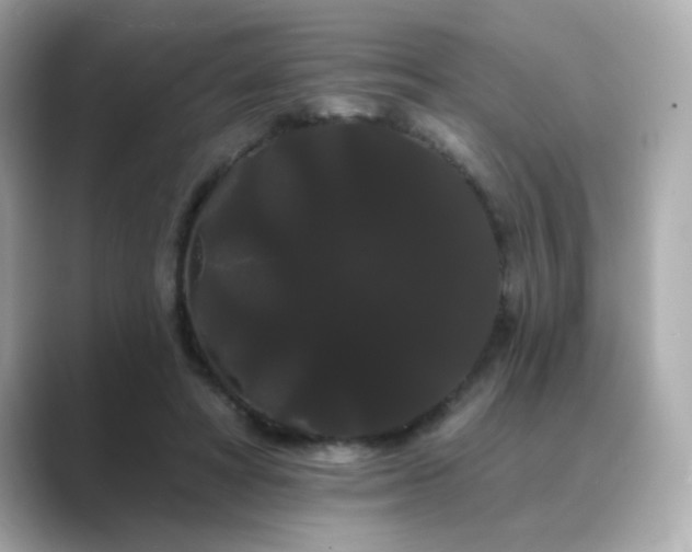 X0000089760402200706211547