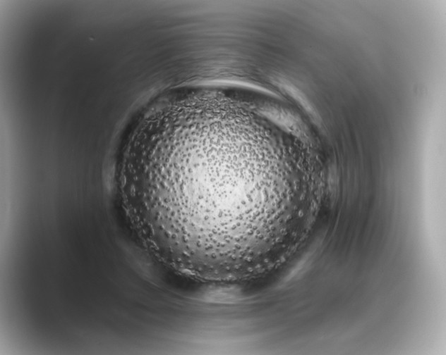 X0000089760403200706211547