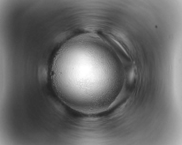 X0000089760404200706211547