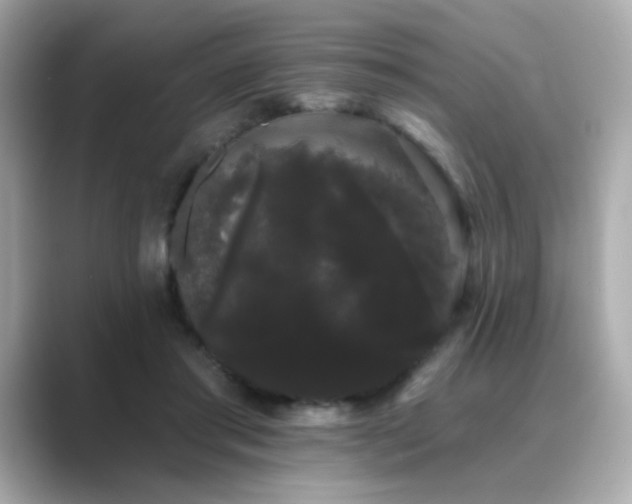 X0000089760405200706211547