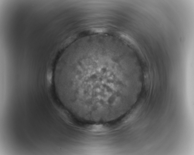 X0000089760406200706211547