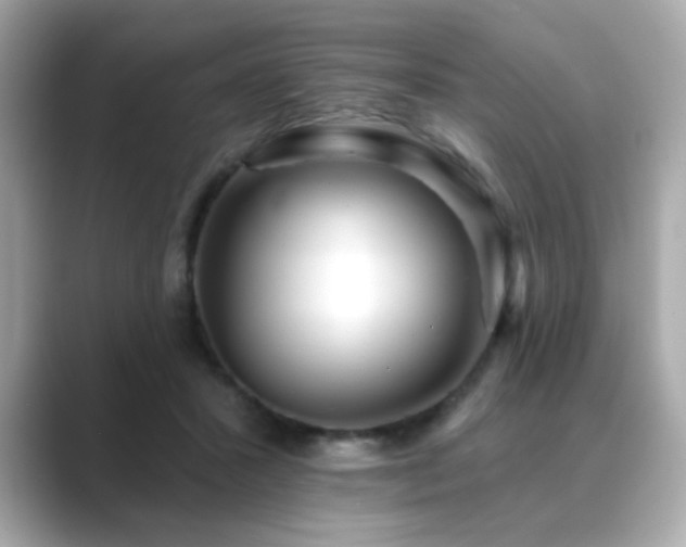X0000089760407200706211547