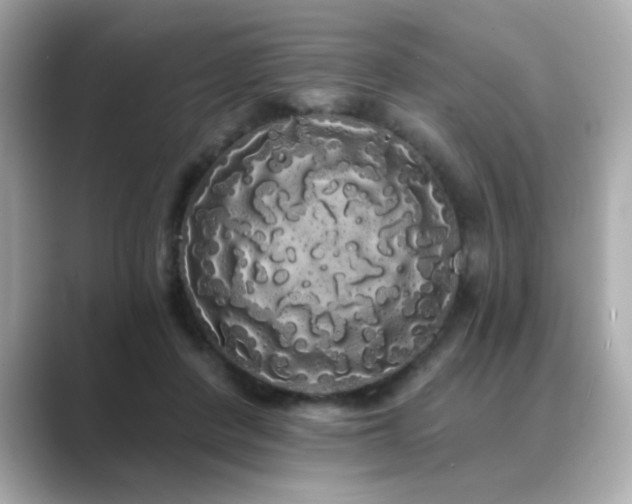 X0000089760408200706211547