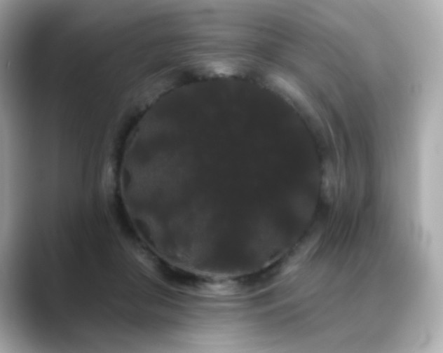 X0000089760410200706211547