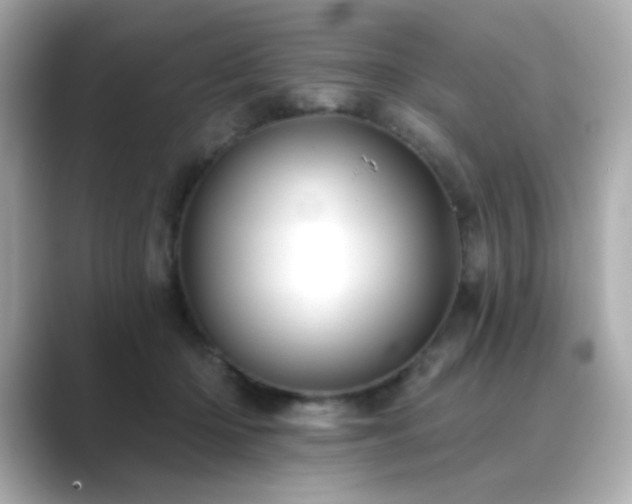 X0000089760414200706211547