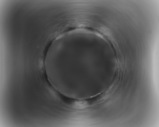 X0000089760415200706211547