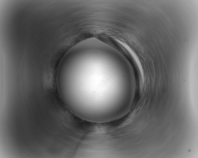 X0000089760416200706211547