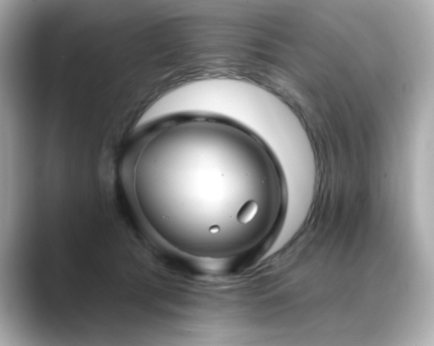 X0000089760417200706211547