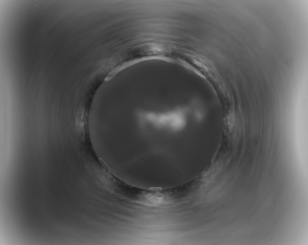 X0000089760423200706211547