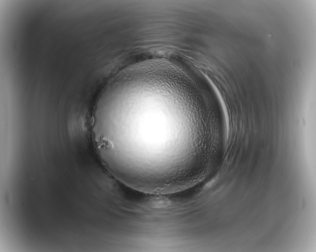 X0000089760424200706211547