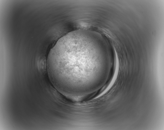 X0000089760425200706211547