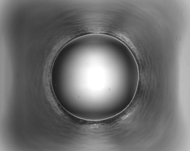 X0000089760433200706211546