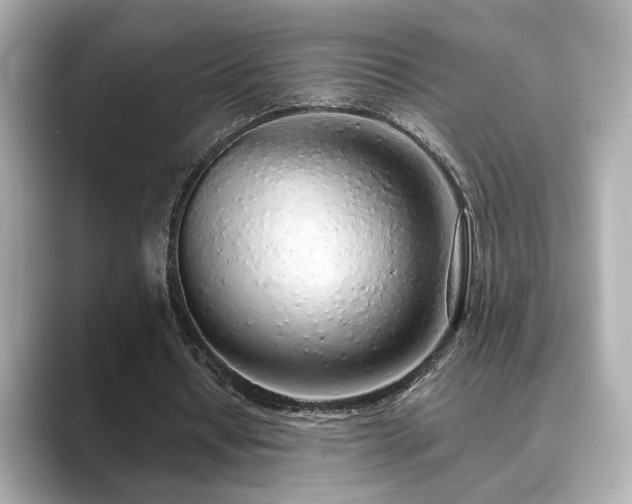 X0000089760434200706211546