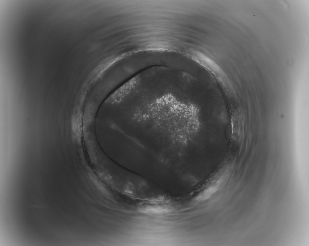 X0000089760436200706211546
