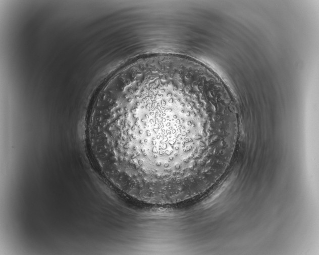 X0000089760437200706211546
