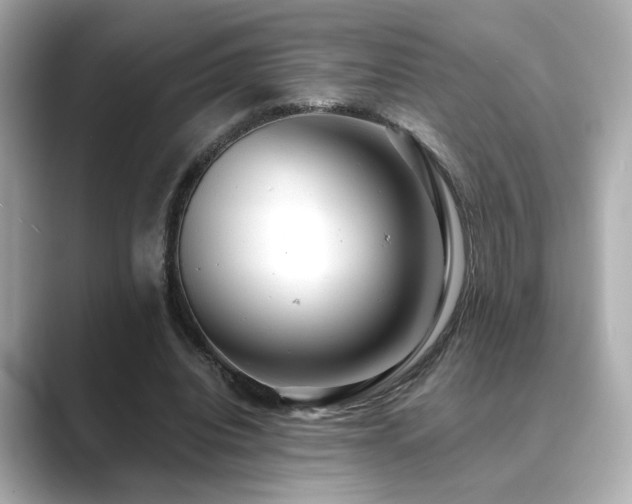 X0000089760440200706211546