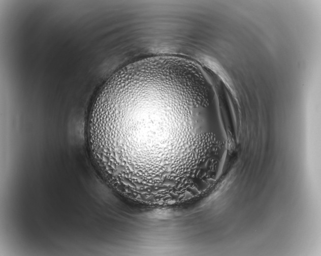 X0000089760441200706211546