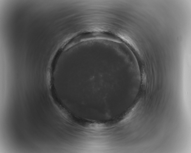 X0000089760444200706211546
