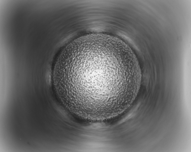 X0000089760446200706211546