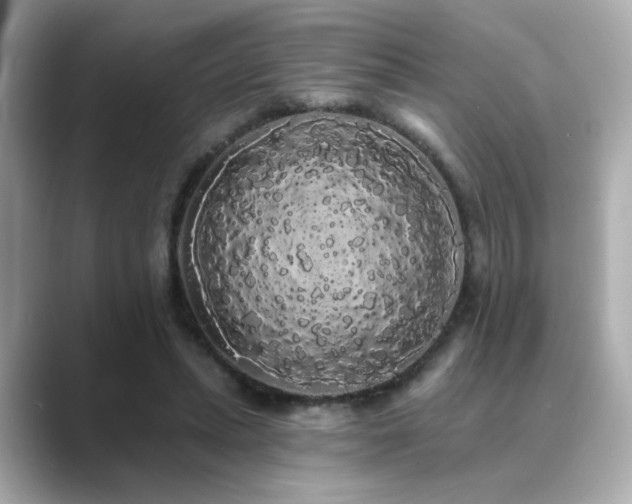 X0000089760447200706211546