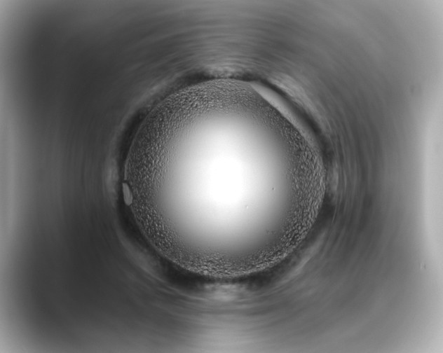 X0000089760448200706211546