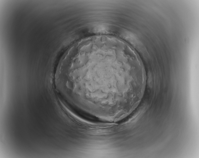 X0000089760449200706211546
