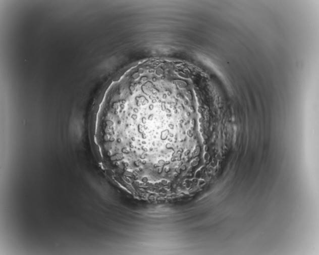 X0000089760451200706211546