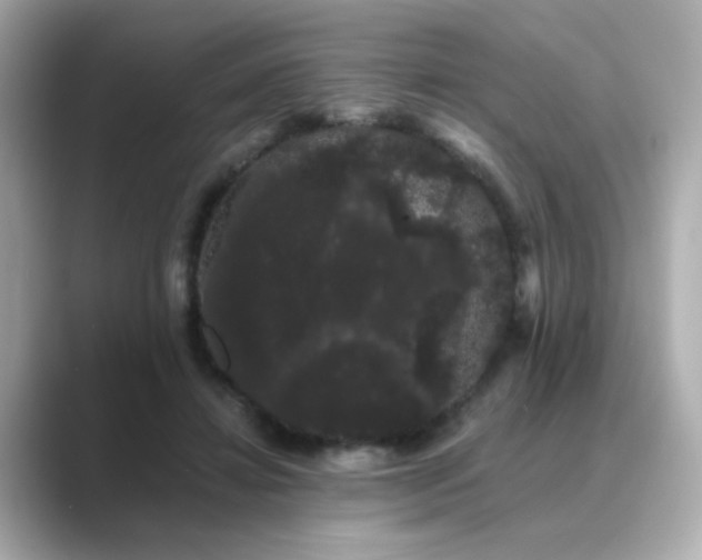 X0000089760452200706211546