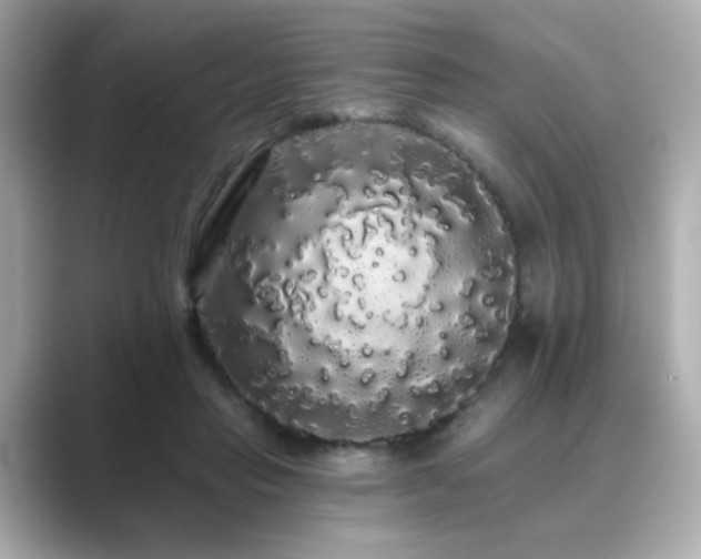 X0000089760453200706211546