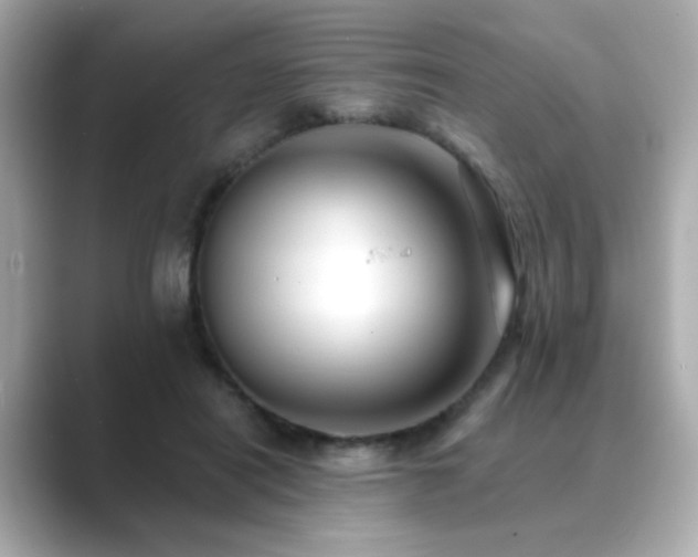 X0000089760454200706211546