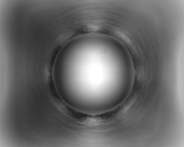 X0000089760455200706211546