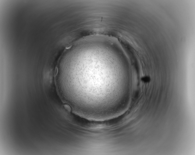 X0000089760458200706211546