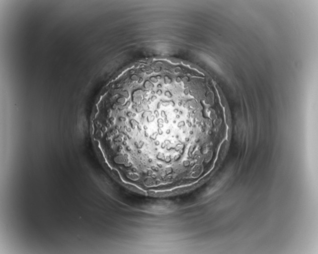 X0000089760459200706211546