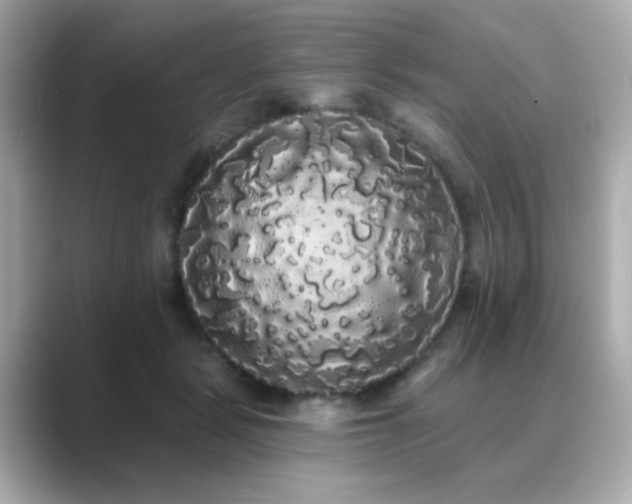 X0000089760461200706211546