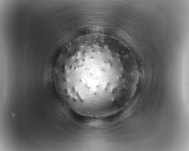 X0000089760462200706211546