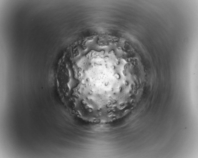 X0000089760465200706211546